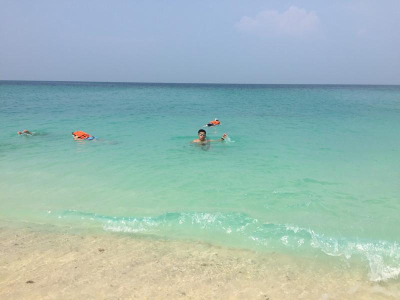 生化危机：浣熊市行动
