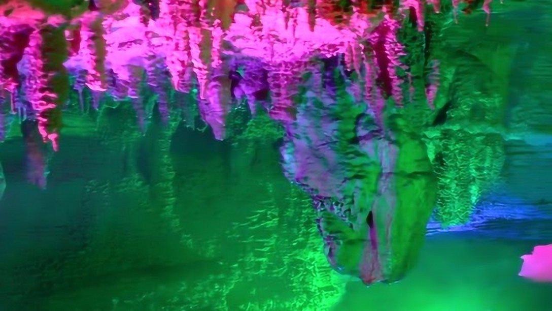 泡沫森林